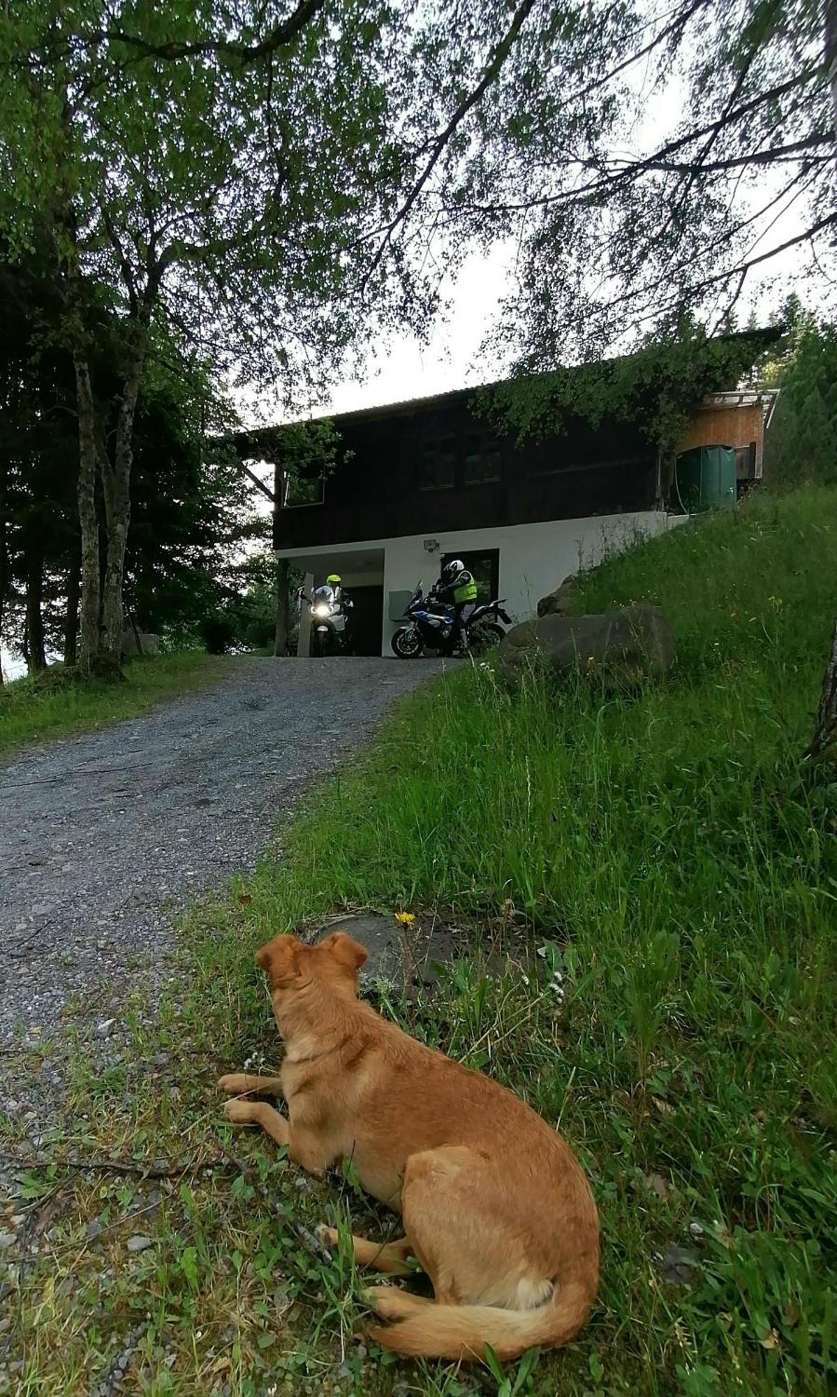 Gemuetliche Fewo Mit Sauna Inmitten Der Berge Meiringen Exterior foto